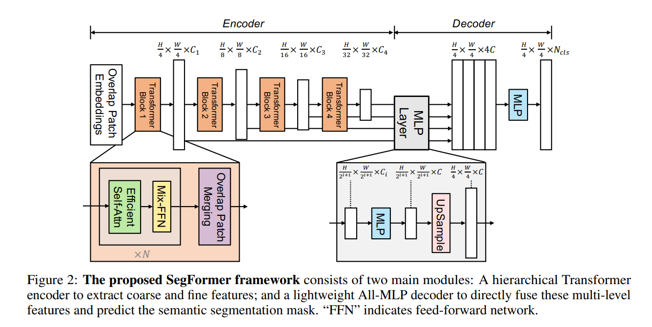 Segformer