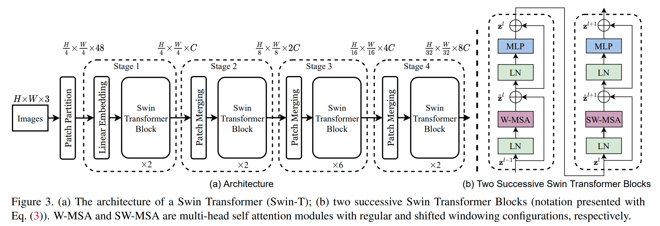 swin